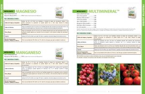 plant_2013_metalosate_brochure_spv1_final_pagina_05