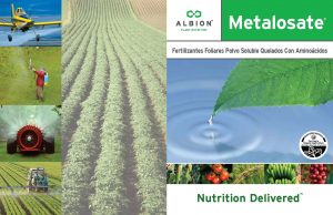 plant_2013_metalosate_brochure_spv1_final_pagina_08